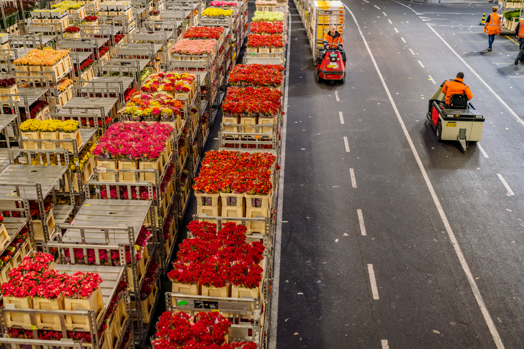 Digitaal document beheer bij Royal FloraHolland